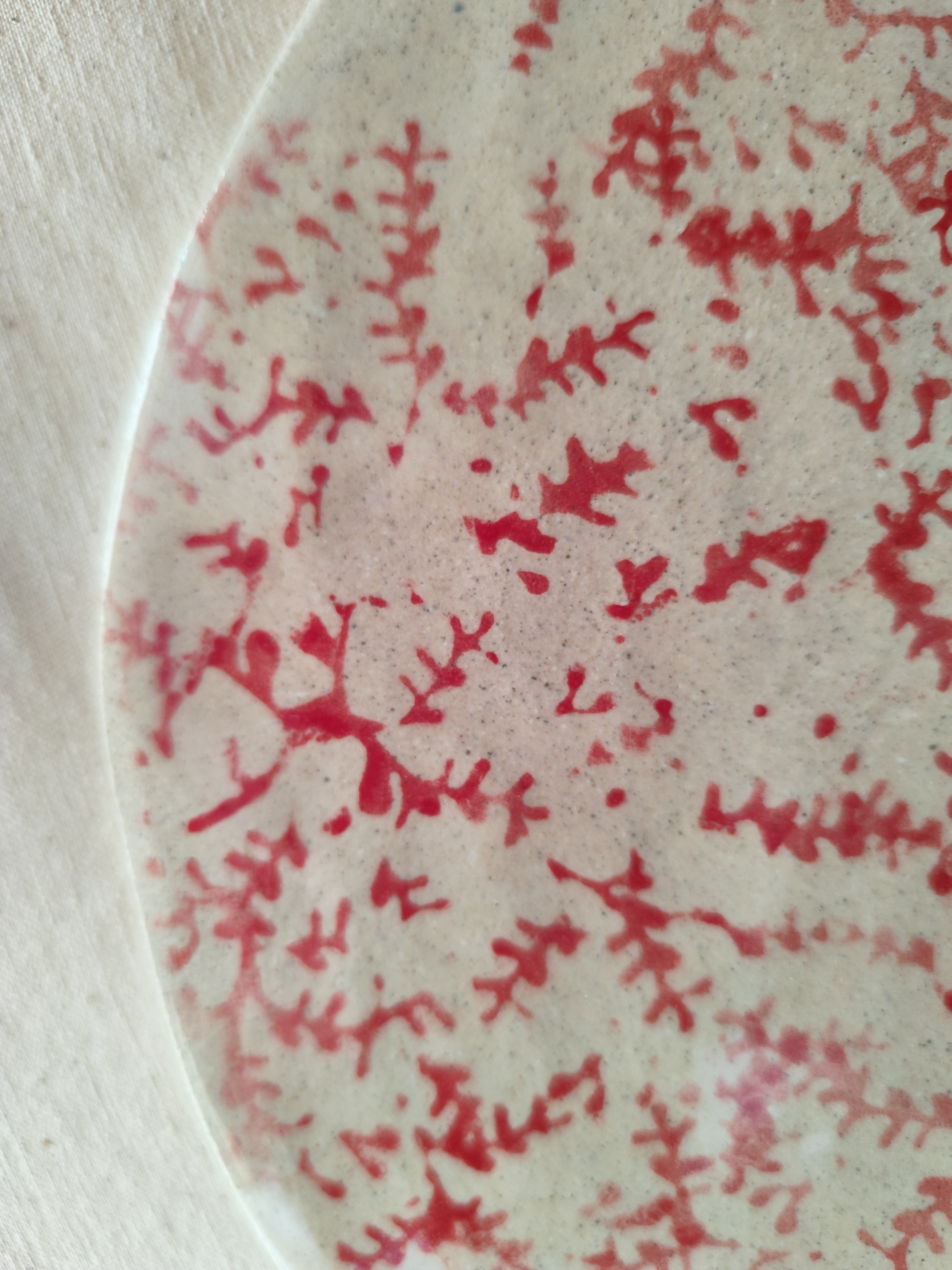 TABLA DE QUESOS CORAL ROJO